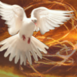 Dove With Fire