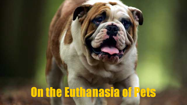 The Euthanasia of Pets