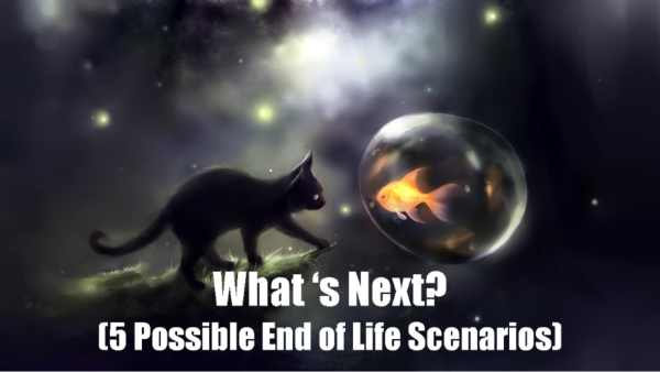 Whats Next at End of Life?